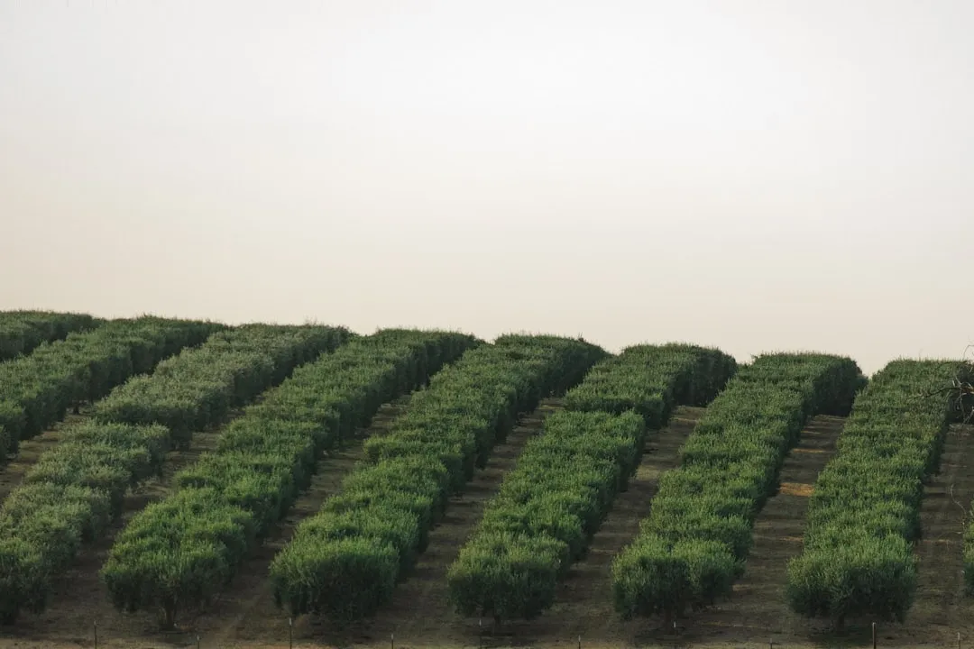 重庆数码3C配件选购指南：数据线与充电器的品质鉴别要点