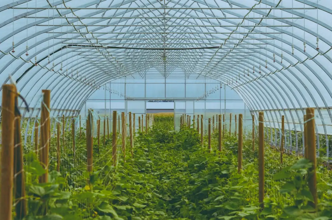 手机配件选购指南：数据线与充电器的兼容性与安全标准解析正文配图 1